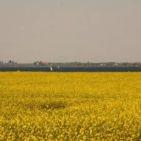 Mit Sauna Циров