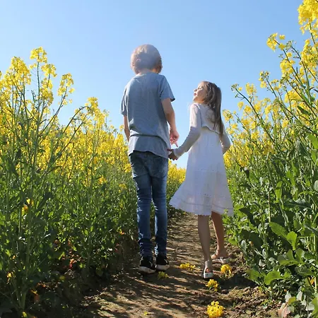 Дом отдыха Mit Sauna